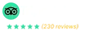 Tripadvisor Logo With A Stylized Owl Icon On The Left And A Green And Yellow Bar On The Right, Set Against A Transparent Background.